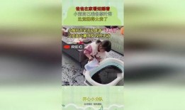 小宝茶早期爆料视频,揭秘神秘茶饮背后的故事